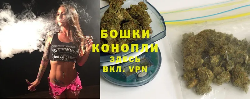 Каннабис SATIVA & INDICA  закладки  Чадан 